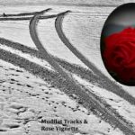 Mudflat Tracks And Rose Vignette fopt