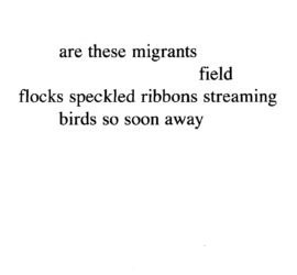 are these migrants haiku
